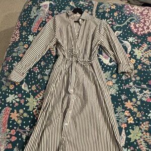 Everlane lightweight shirt dress